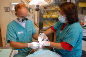 Maxillofacial surgery Dubai