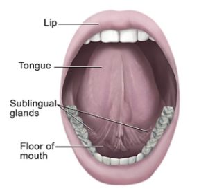 Mouth-Cancer